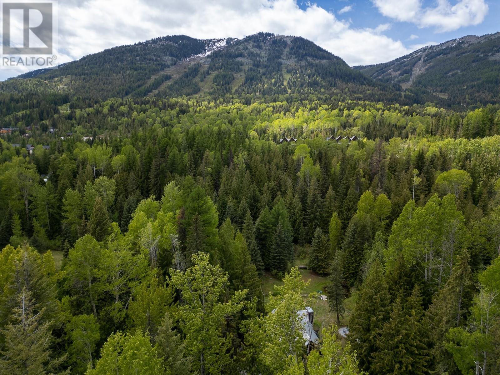 4630 MANN  Road Rossland