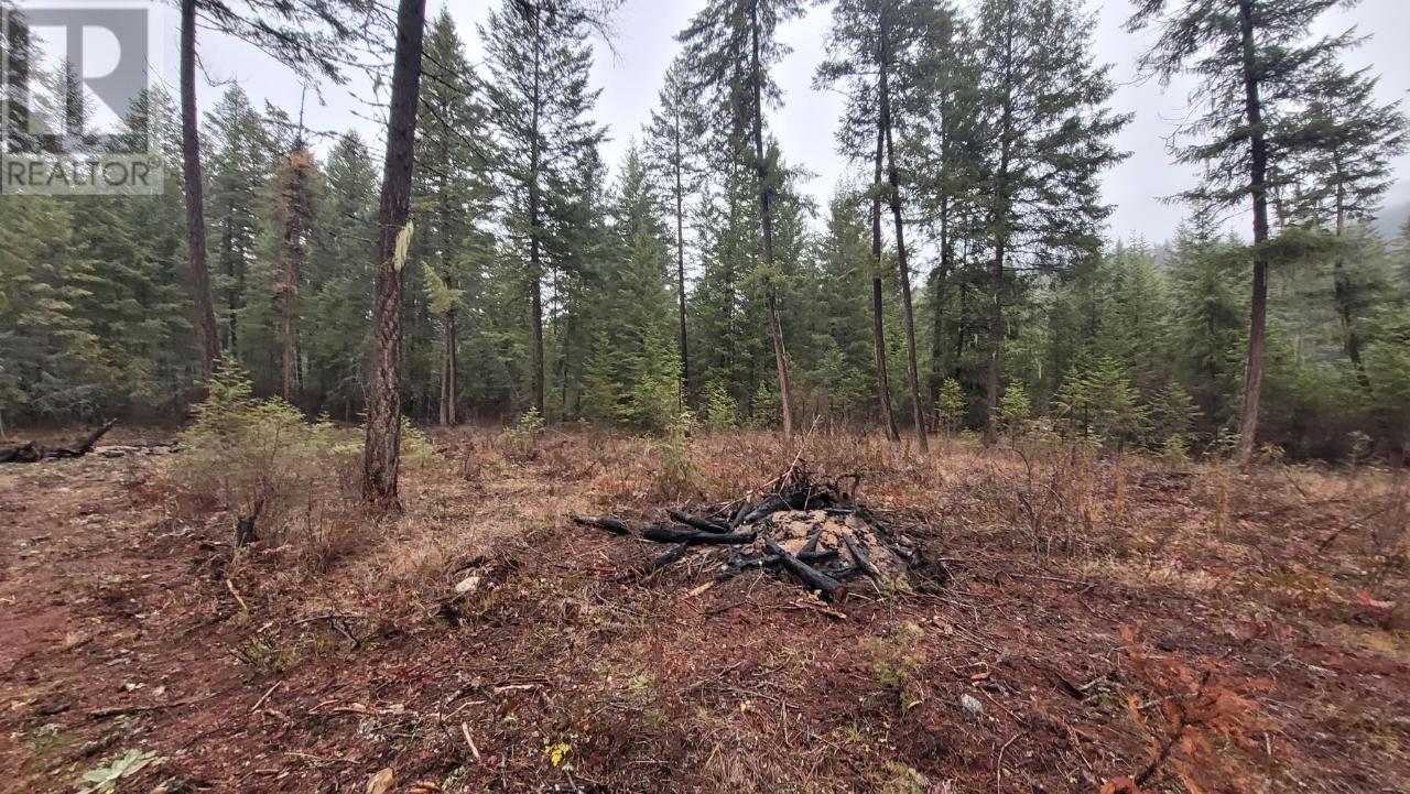 Lot 1 Caitlin  Road, Christina Lake, British Columbia  V0H 1E0 - Photo 3 - 2475639