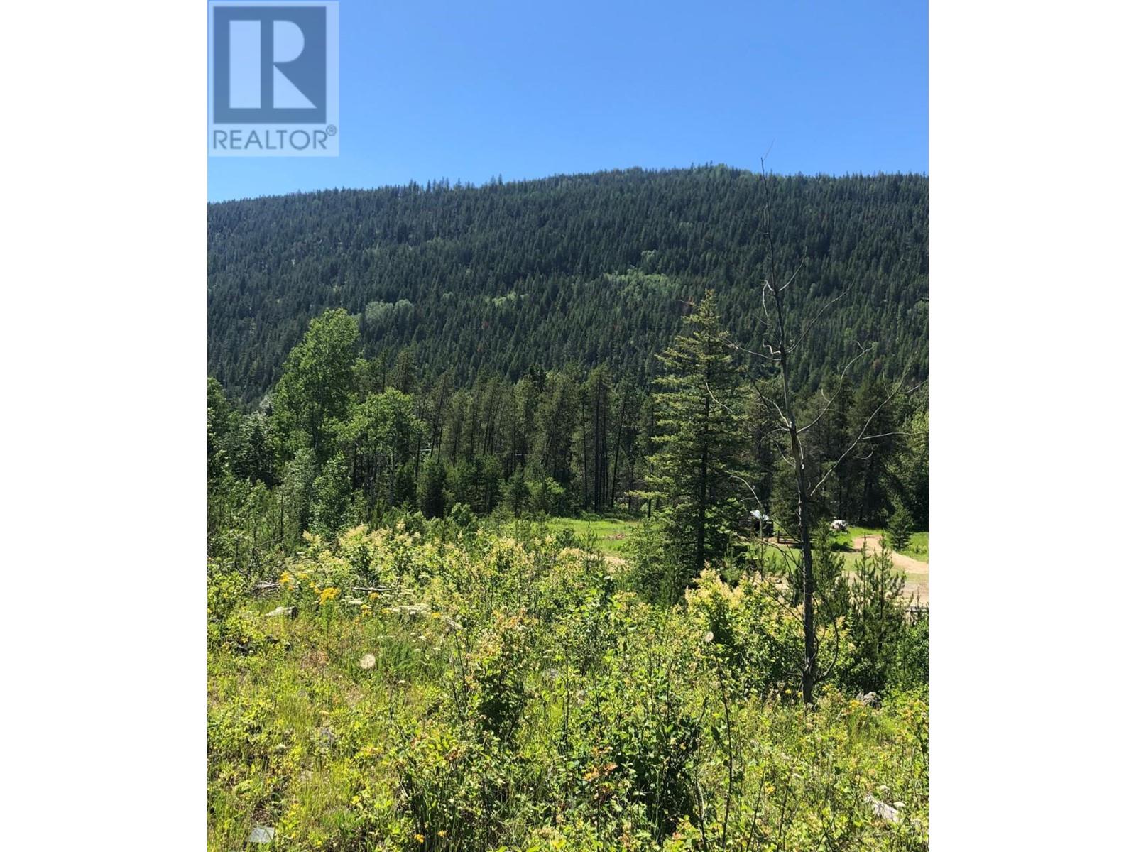 8045 95 Highway, Kingsgate, British Columbia  V0B 2P0 - Photo 2 - 2475668