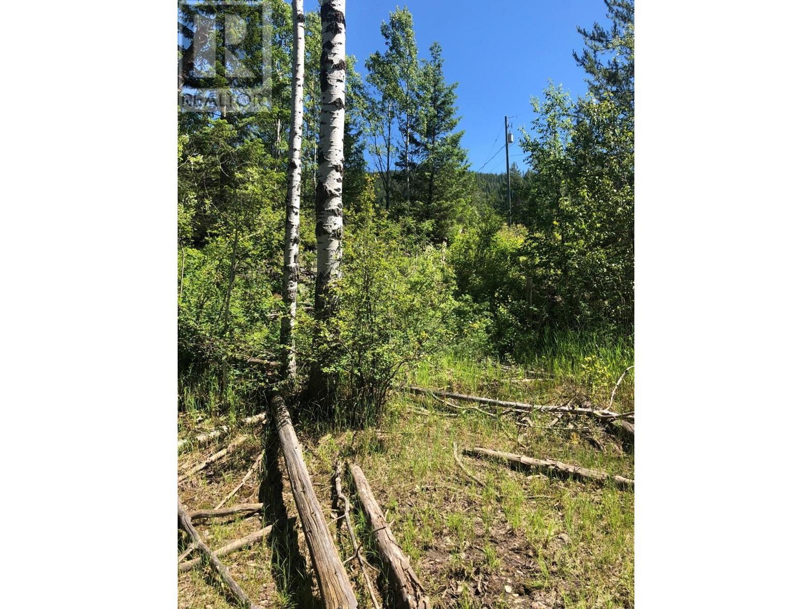 8045 95 Highway, Kingsgate, British Columbia  V0B 2P0 - Photo 12 - 2475668