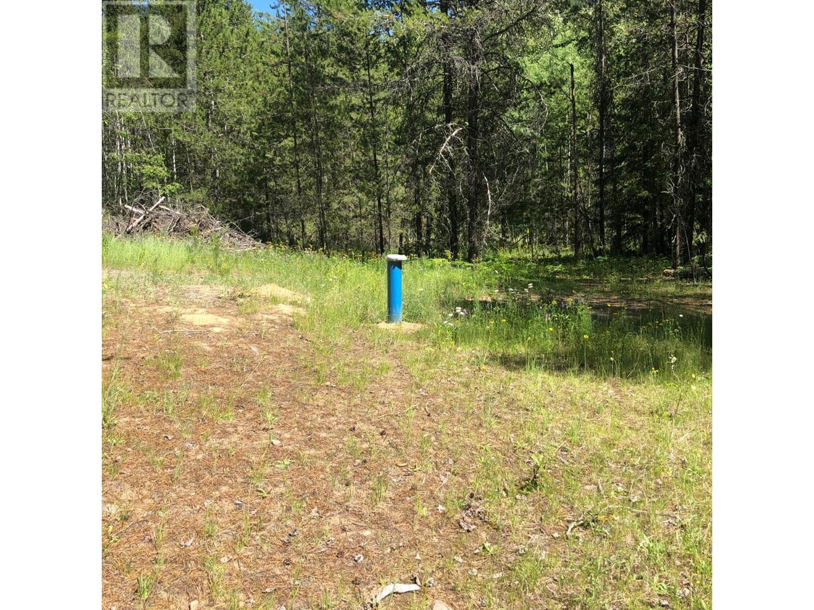 8045 95 Highway, Kingsgate, British Columbia  V0B 2P0 - Photo 3 - 2475668