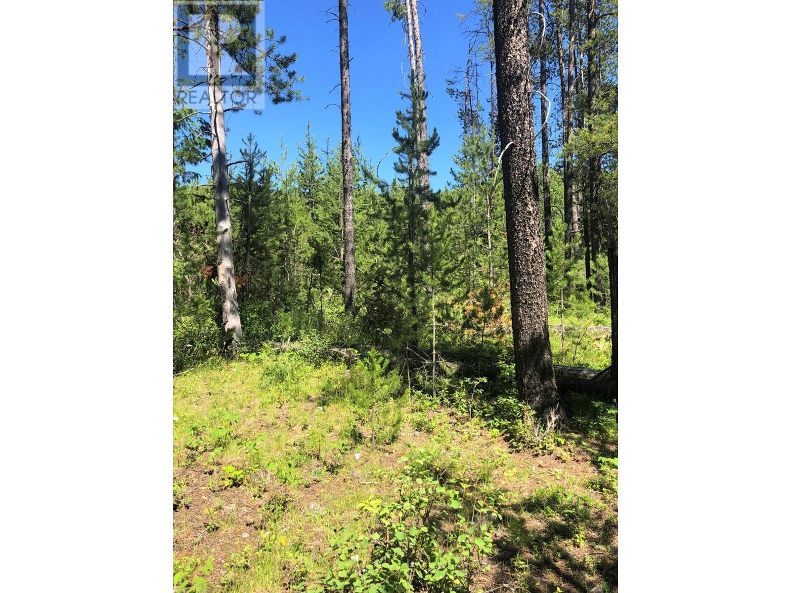 8045 95 Highway, Kingsgate, British Columbia  V0B 2P0 - Photo 13 - 2475668