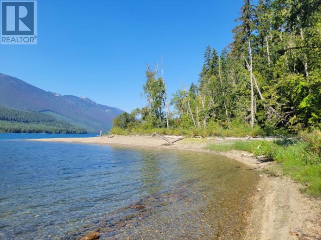 14222 31 Highway, Trout Lake, British Columbia  V0G 1R1 - Photo 2 - 2476315