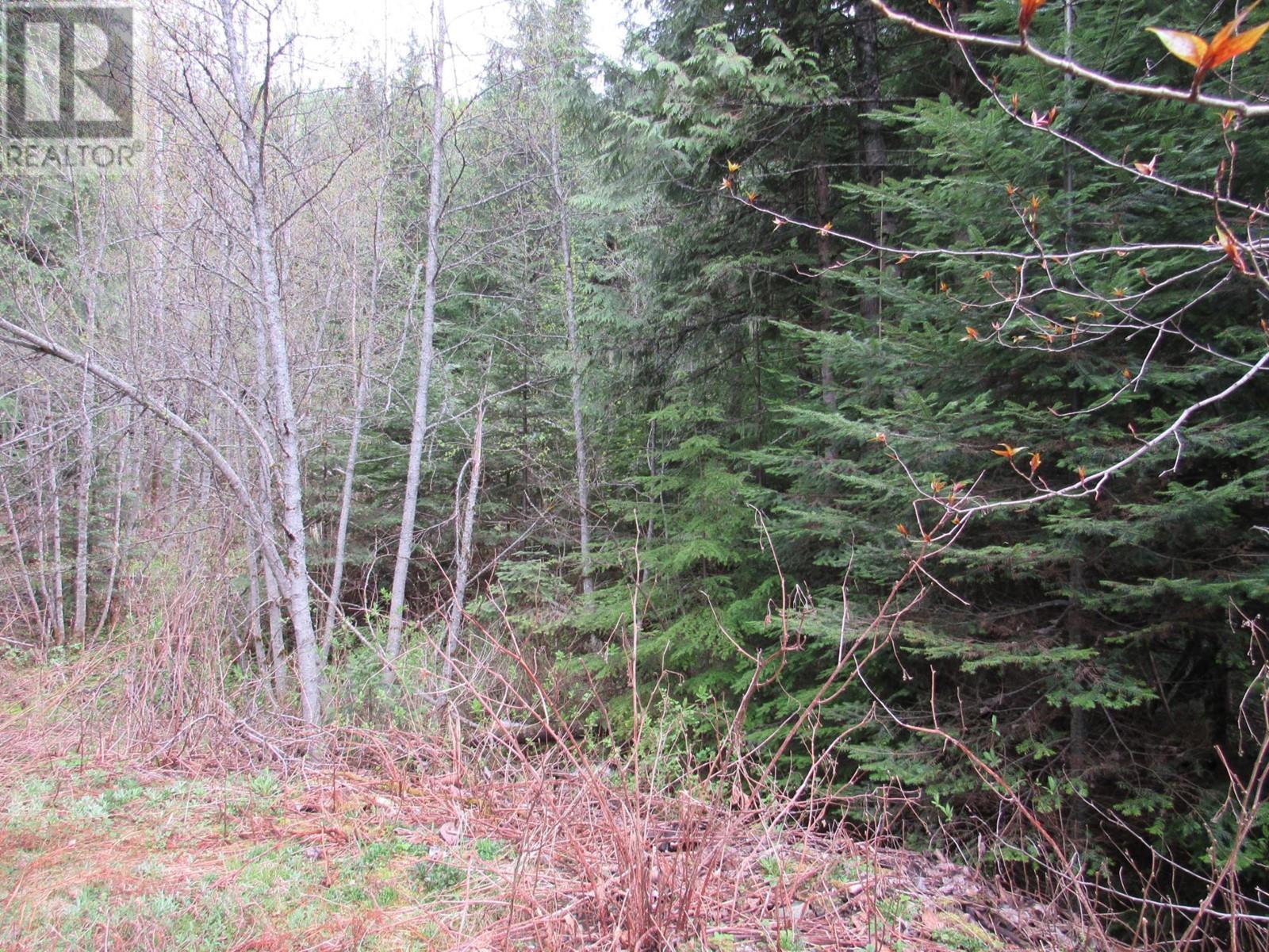 Lot B  3 Highway, Salmo, British Columbia  V0G 1Z0 - Photo 7 - 2476526