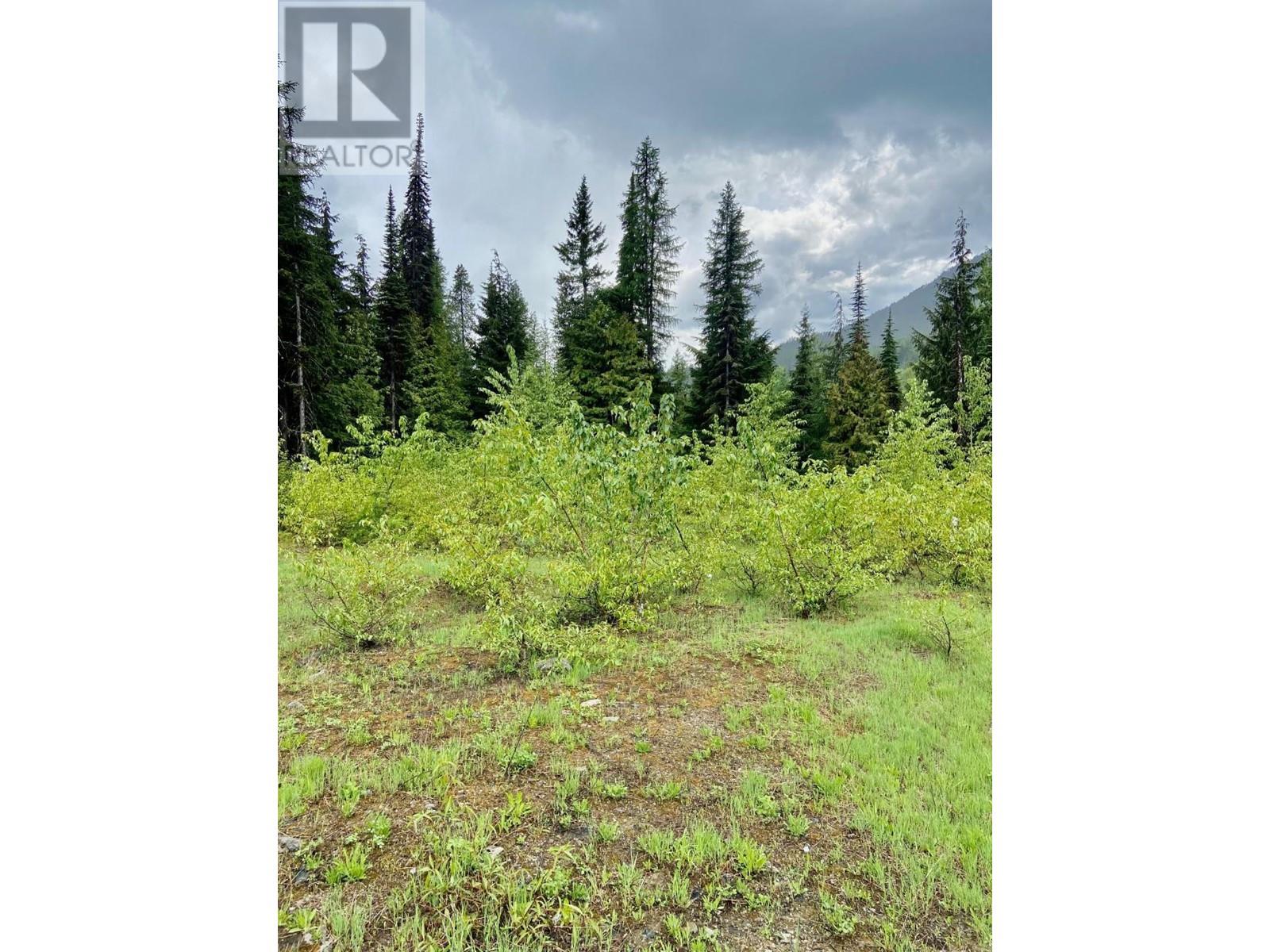 Lot 2 Granite View  Road, Rossland, British Columbia  V0G 1Y0 - Photo 17 - 2476793