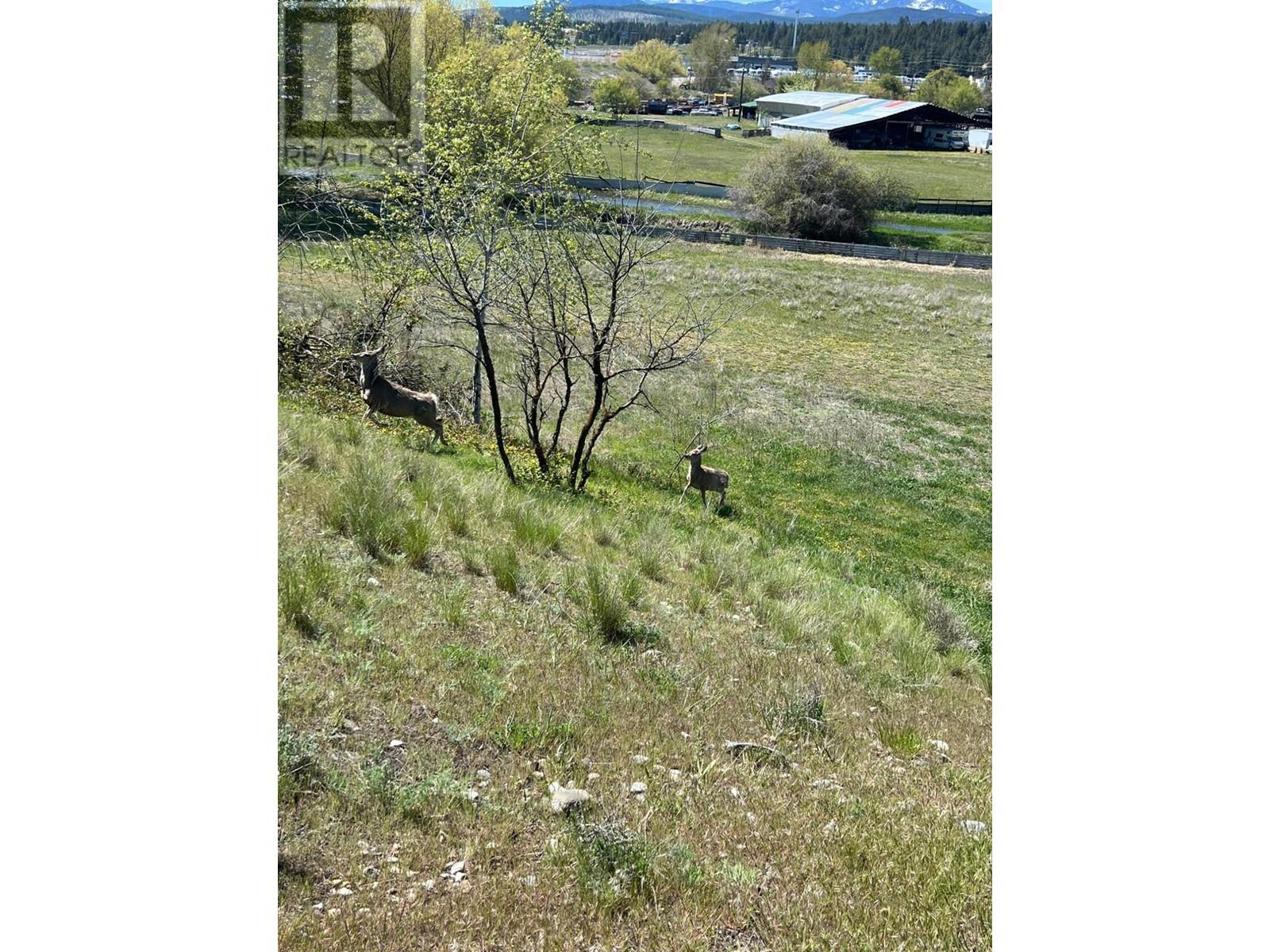 2400 22nd  N Street, Cranbrook, British Columbia  V1C 4J1 - Photo 1 - 2476831