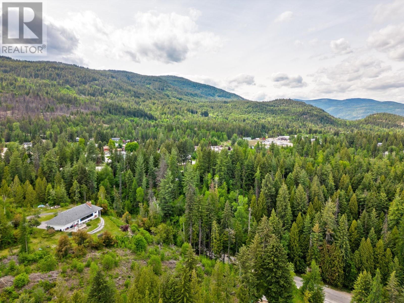 2428 12th Avenue, Castlegar, British Columbia  V1N 4A8 - Photo 51 - 2477005