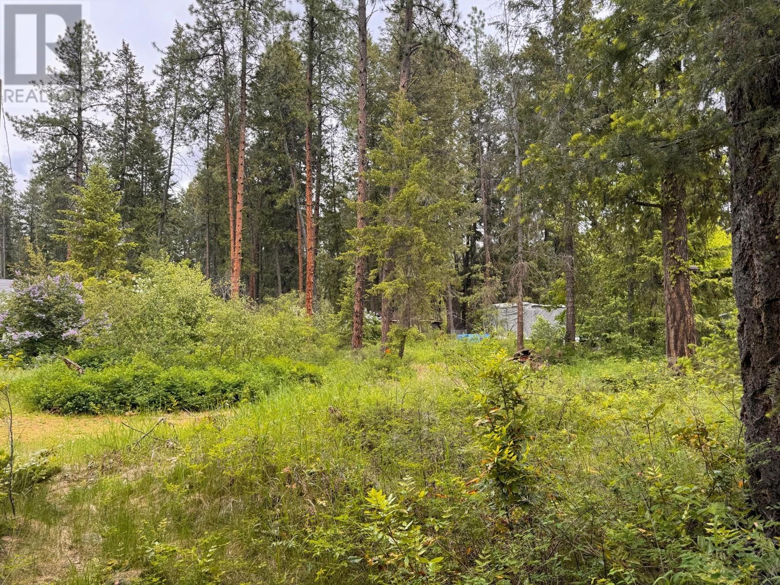 Lot 20 Kingsley Road, Christina Lake, British Columbia  V0H 1E2 - Photo 3 - 2477021