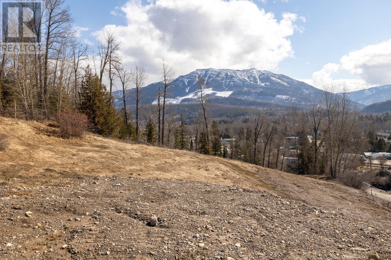 1653 Mcleod Avenue, Fernie, British Columbia  V0B 1M1 - Photo 16 - 2477374