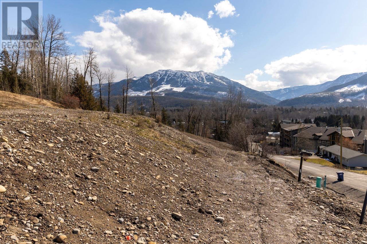 1653 Mcleod Avenue, Fernie, British Columbia  V0B 1M1 - Photo 18 - 2477374