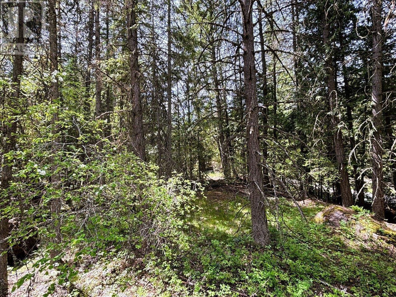 Lot 34 Pass Creek Road, Castlegar, British Columbia  V1N 4T1 - Photo 25 - 2477442