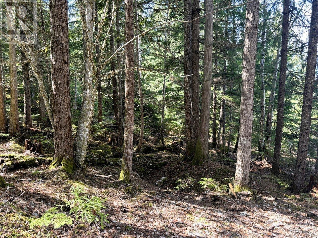 Lot 34 Pass Creek Road, Castlegar, British Columbia  V1N 4T1 - Photo 24 - 2477442