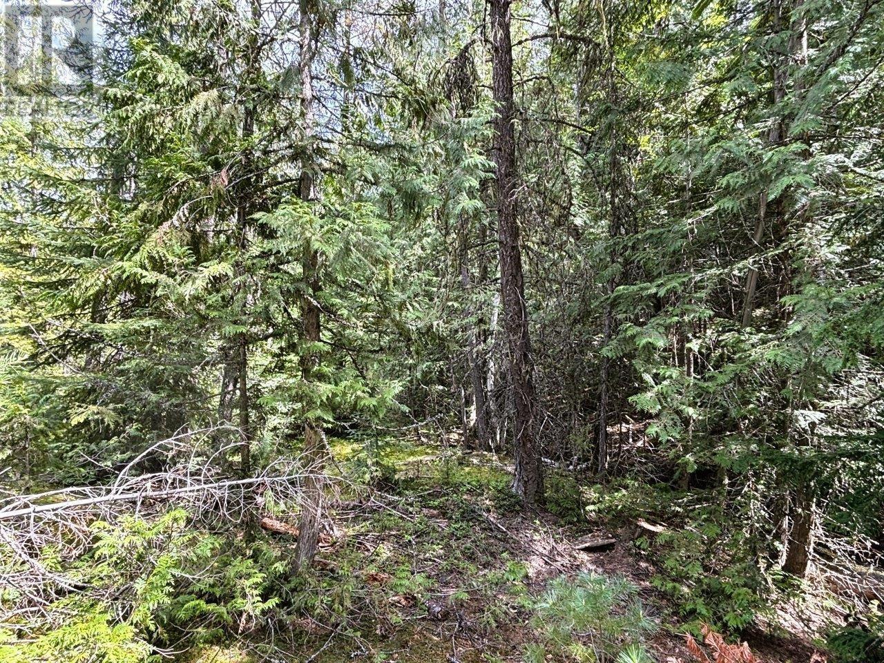 Lot 34 Pass Creek Road, Castlegar, British Columbia  V1N 4T1 - Photo 27 - 2477442