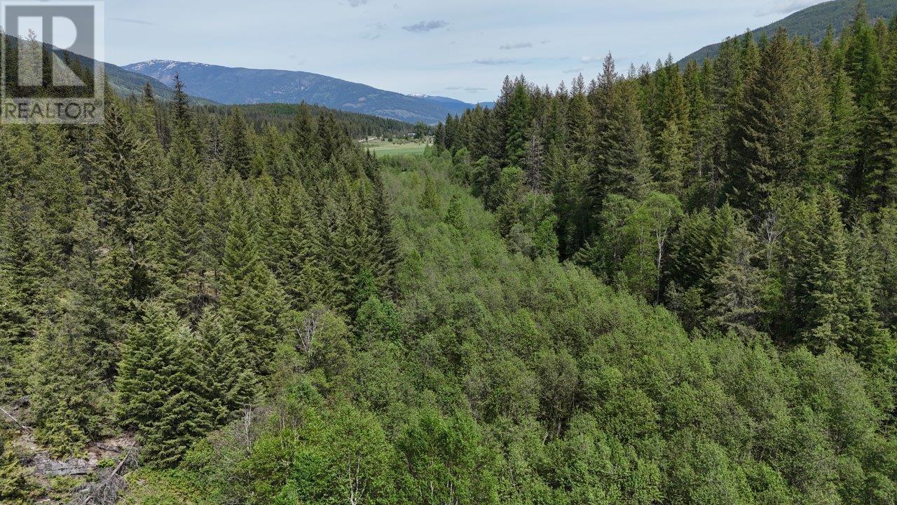Lot 34 Pass Creek Road, Castlegar, British Columbia  V1N 4T1 - Photo 6 - 2477442