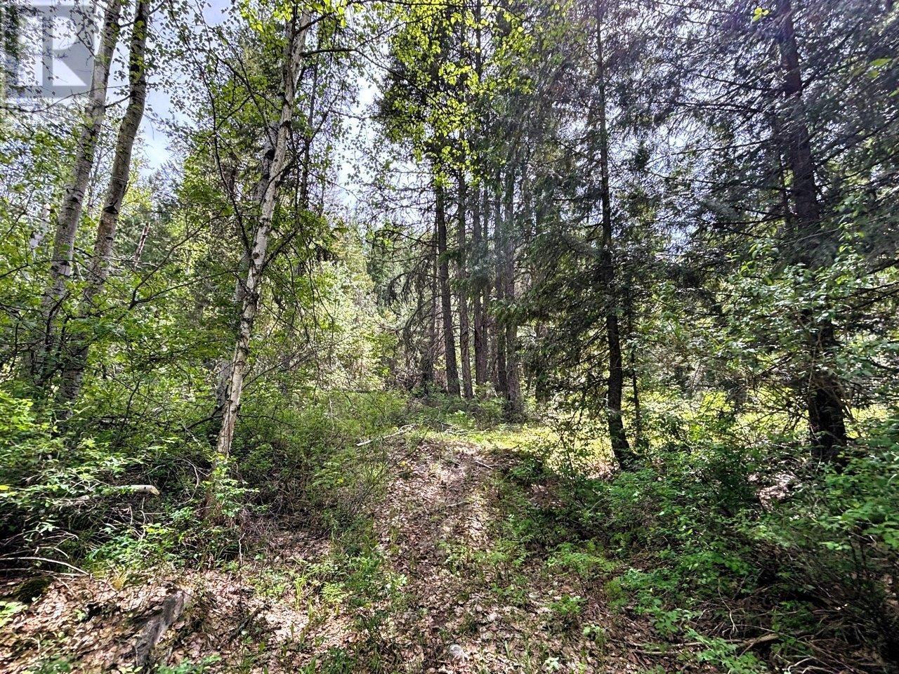 Lot 34 Pass Creek Road, Castlegar, British Columbia  V1N 4T1 - Photo 23 - 2477442
