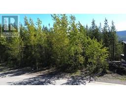 4 DALLAS Place, elkford, British Columbia