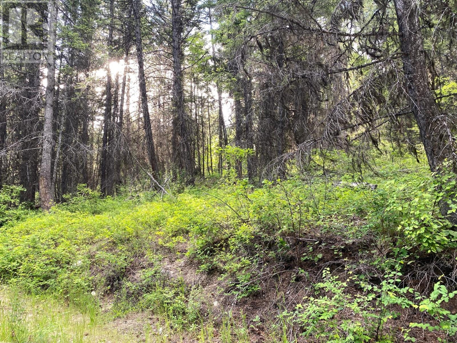 Lot 1827s Morrissey Creek Road, Grand Forks, British Columbia  V0H 1H0 - Photo 20 - 2477885