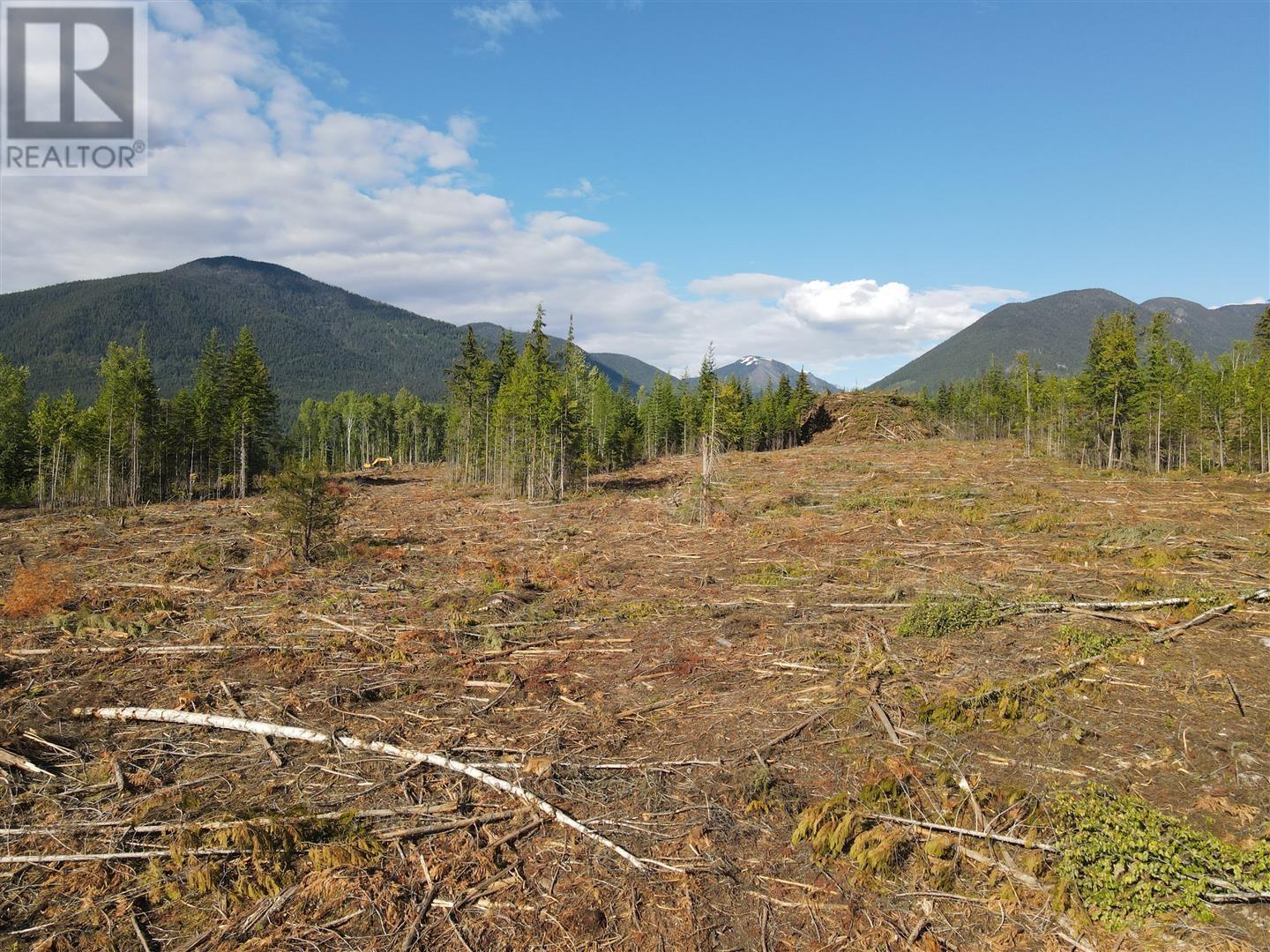 944 Guidon Road, Nakusp, British Columbia  V0G 1R1 - Photo 16 - 2477913