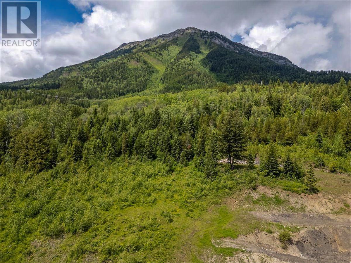 200 Burma Road Unit# Lot 8, Fernie, British Columbia  V0B 1M0 - Photo 38 - 2477963