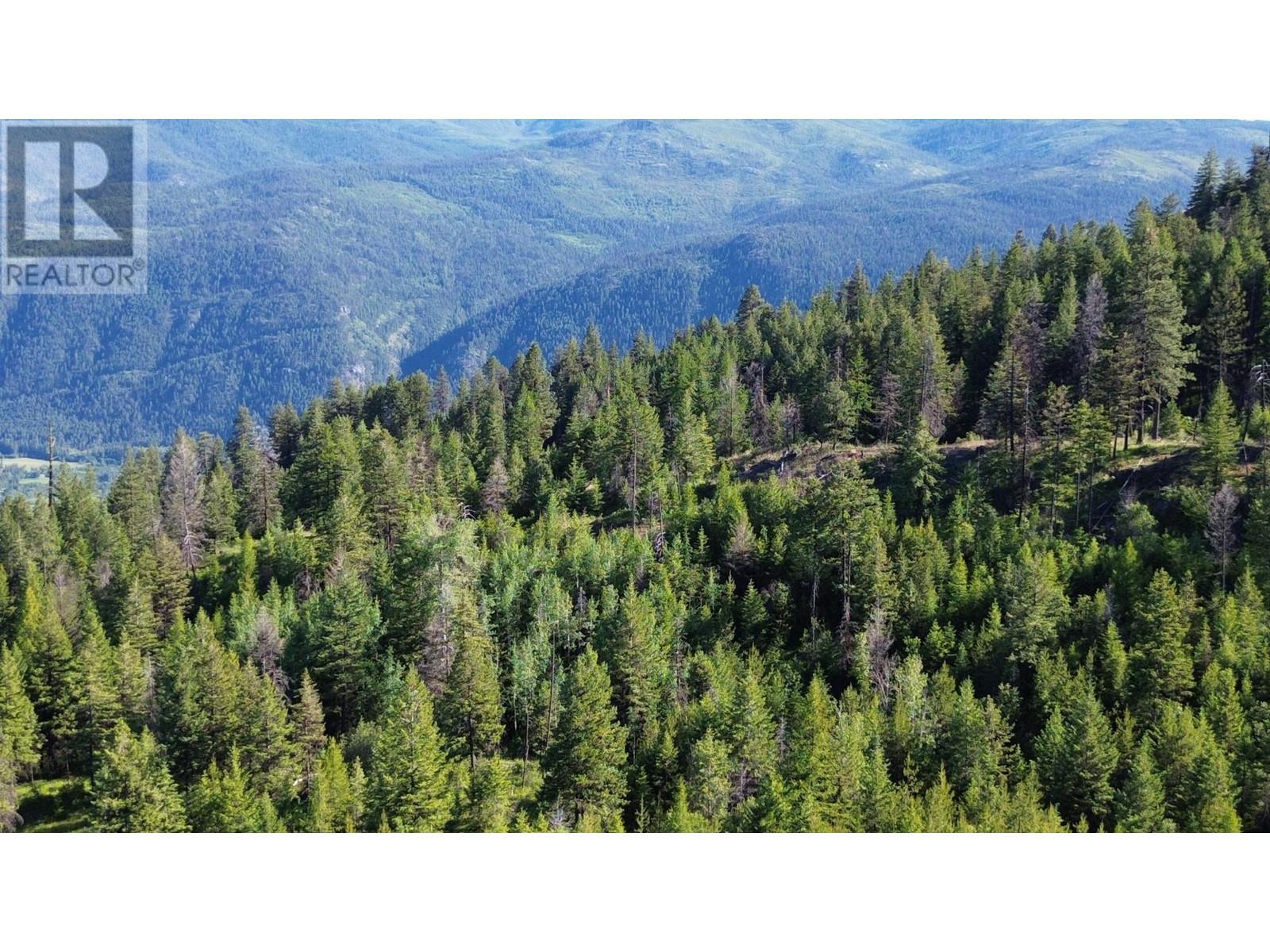 Lot 1826s Morrissey Creek Road, Grand Forks, British Columbia  V0H 1H0 - Photo 29 - 2478039