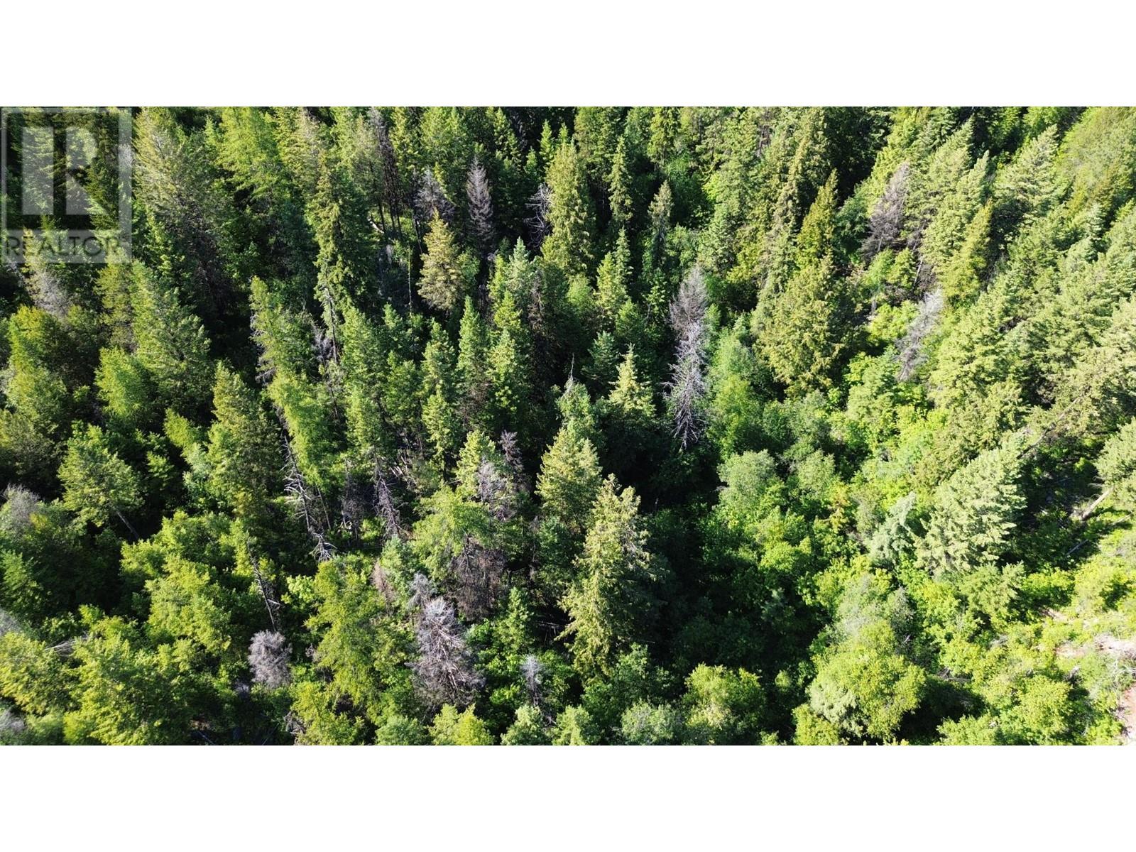 Lot 1826s Morrissey Creek Road, Grand Forks, British Columbia  V0H 1H0 - Photo 13 - 2478039