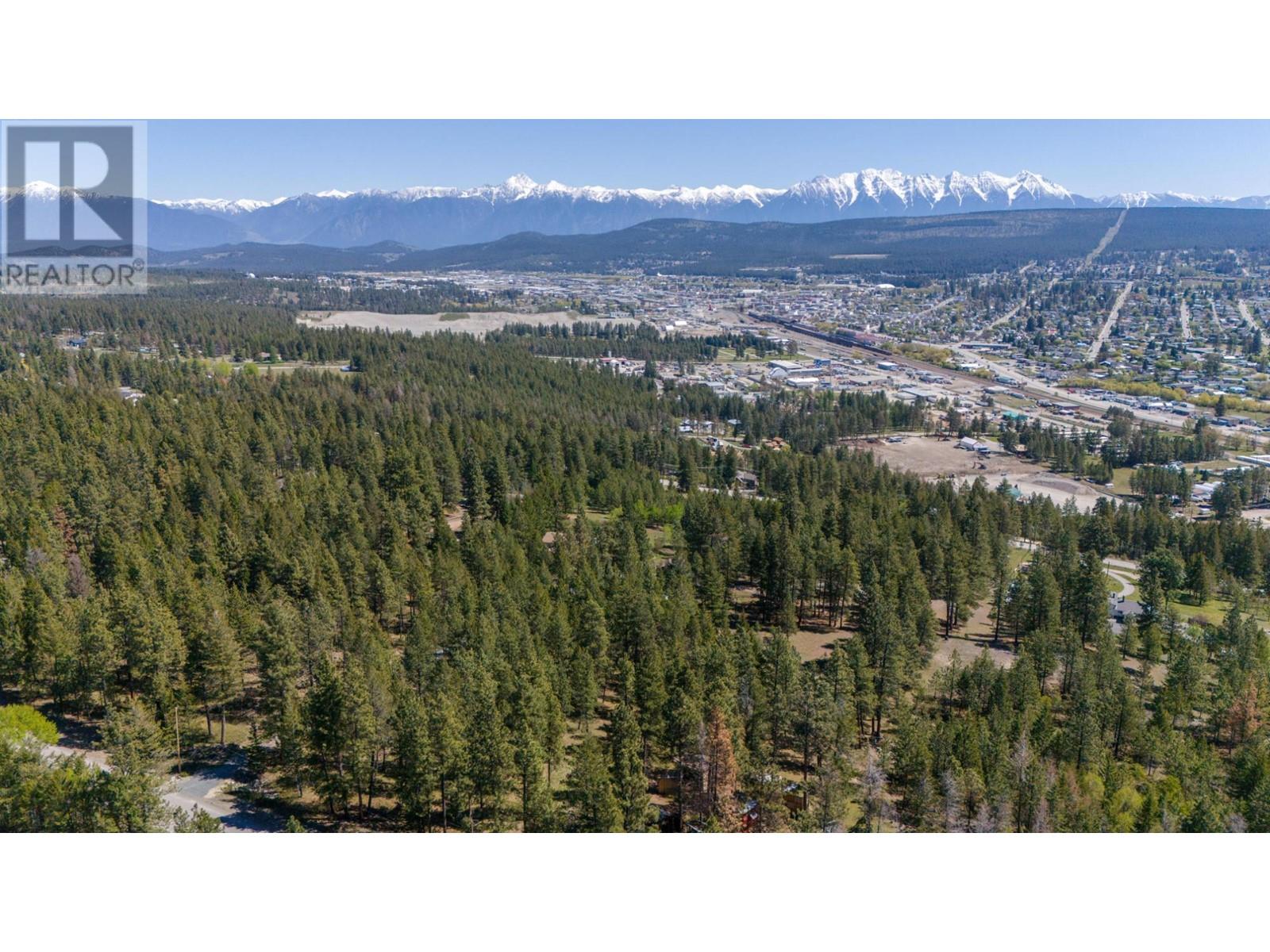 380 Ivy Road, Cranbrook, British Columbia  V1C 6W6 - Photo 44 - 2478352