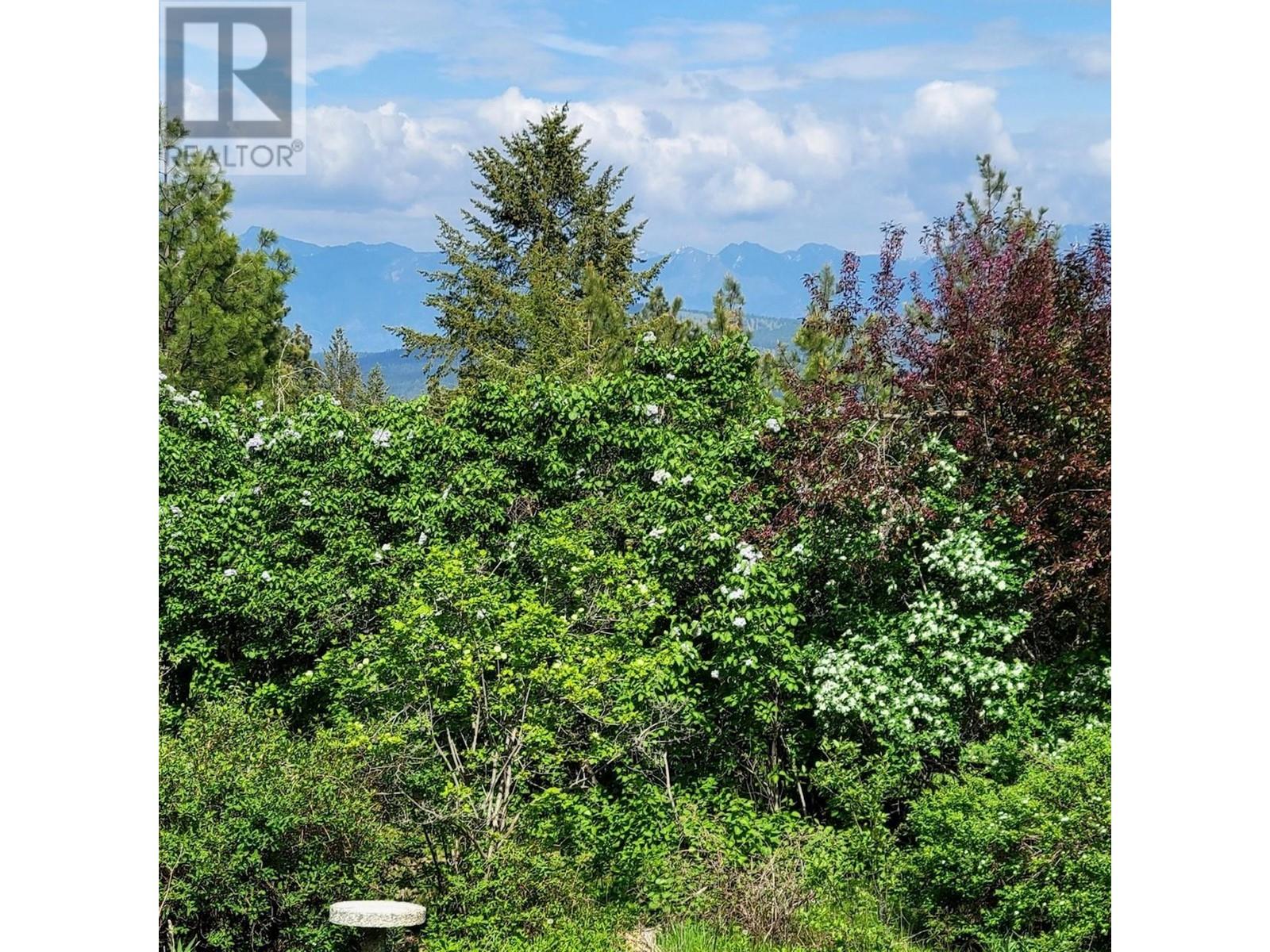 380 Ivy Road, Cranbrook, British Columbia  V1C 6W6 - Photo 34 - 2478352