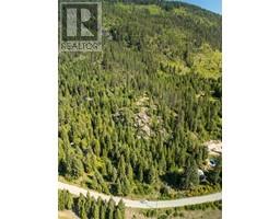 Lot 1 ERIE-ROSS SPUR Road, salmo, British Columbia