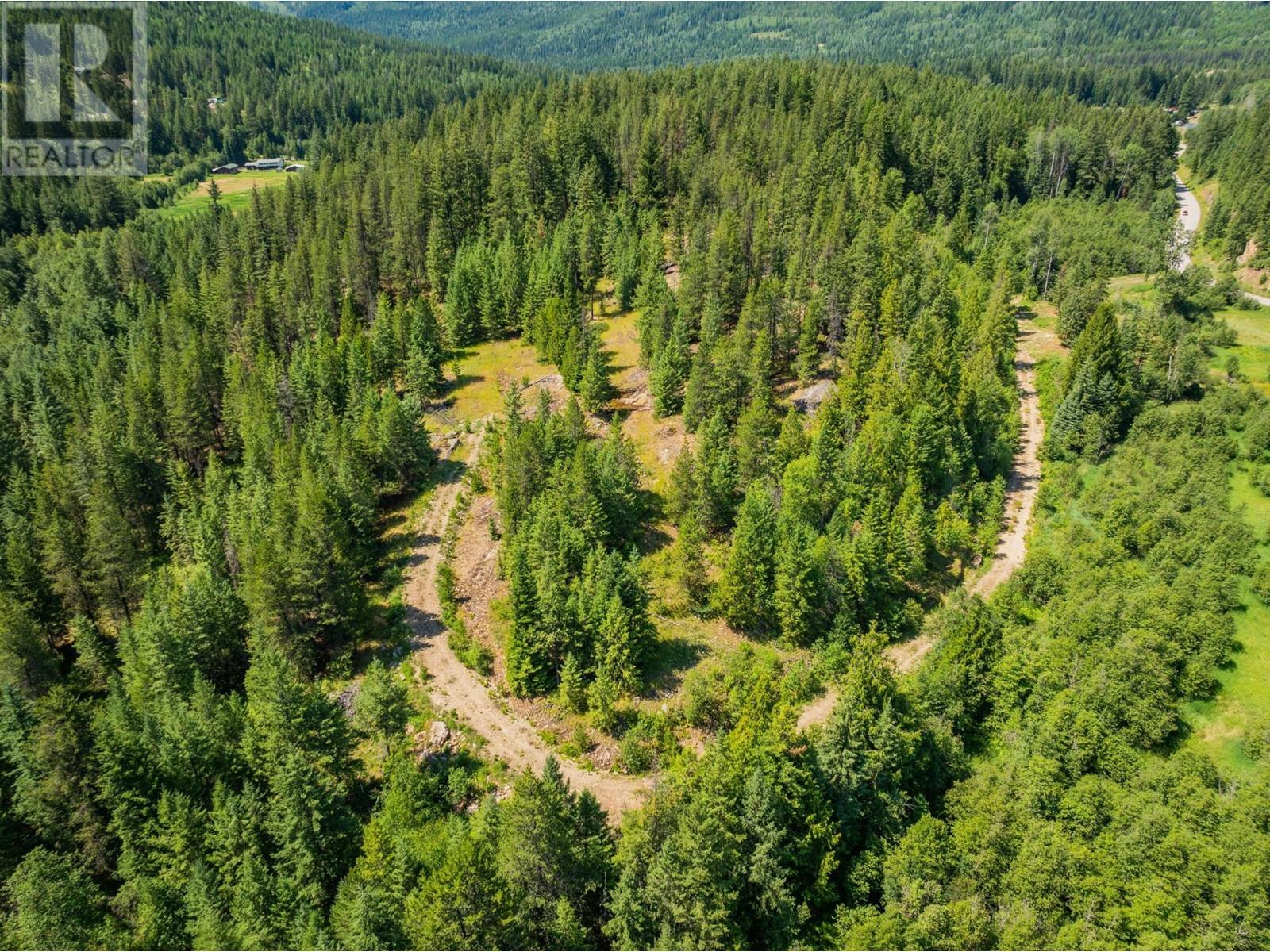 2335 PASS CREEK  Road Castlegar