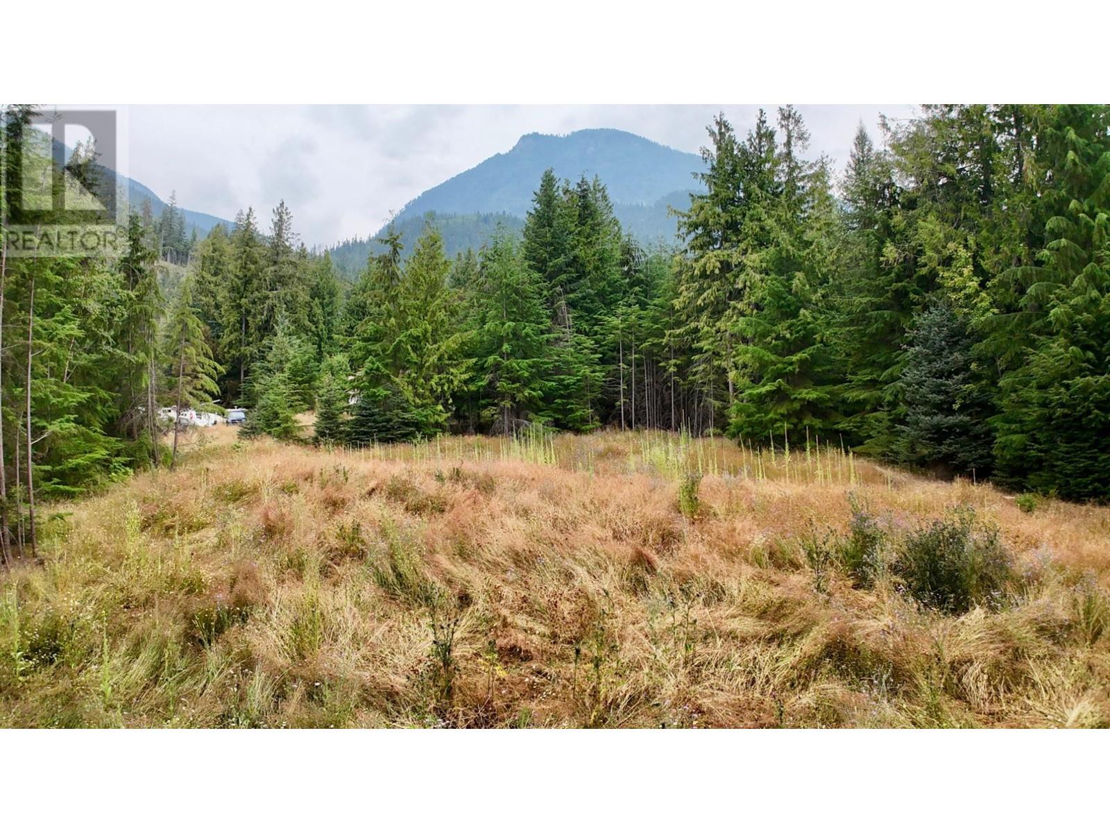 Lot 37 Nichols Drive, Schroeder Creek, British Columbia  V0G 1M0 - Photo 22 - 2478760