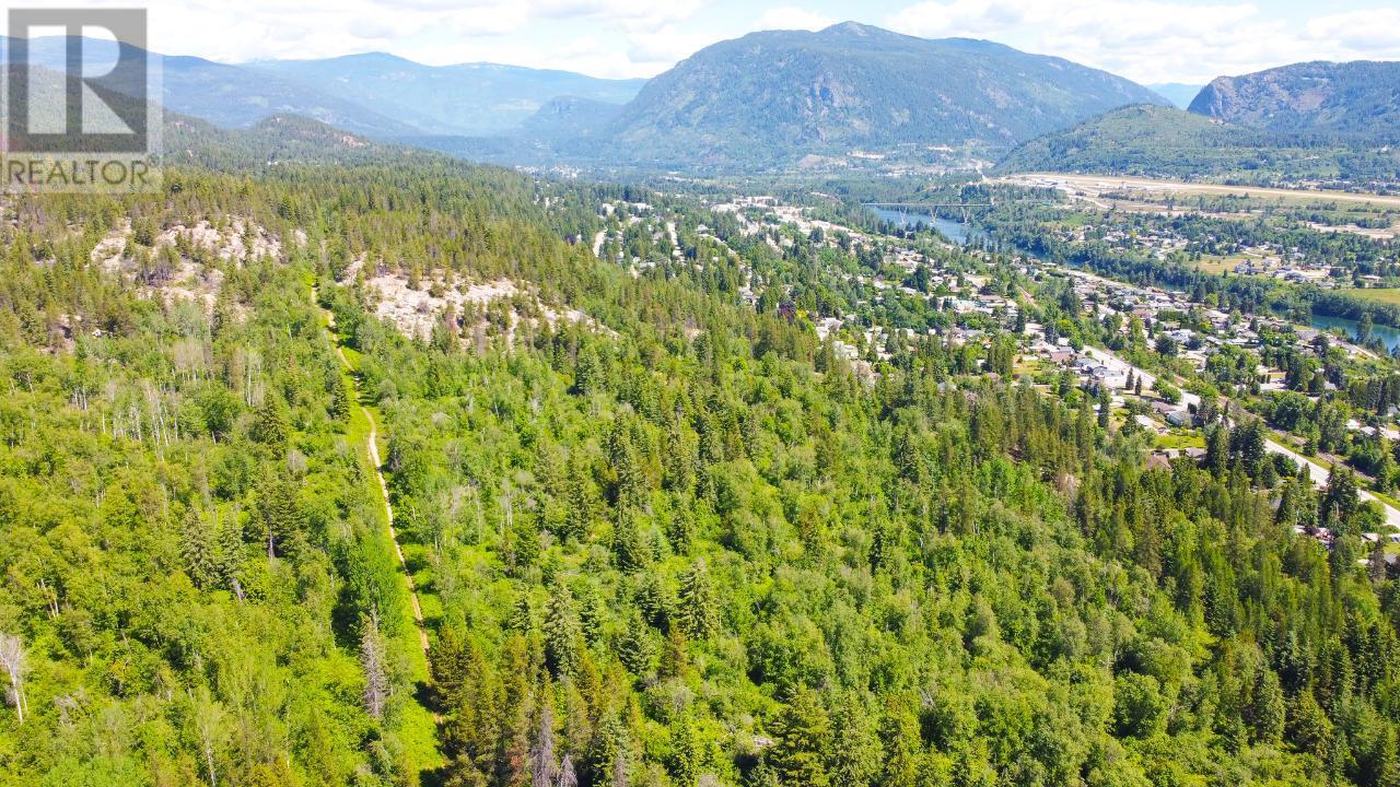 3300 10th Avenue, Castlegar, British Columbia  V1N 3A5 - Photo 10 - 2479162
