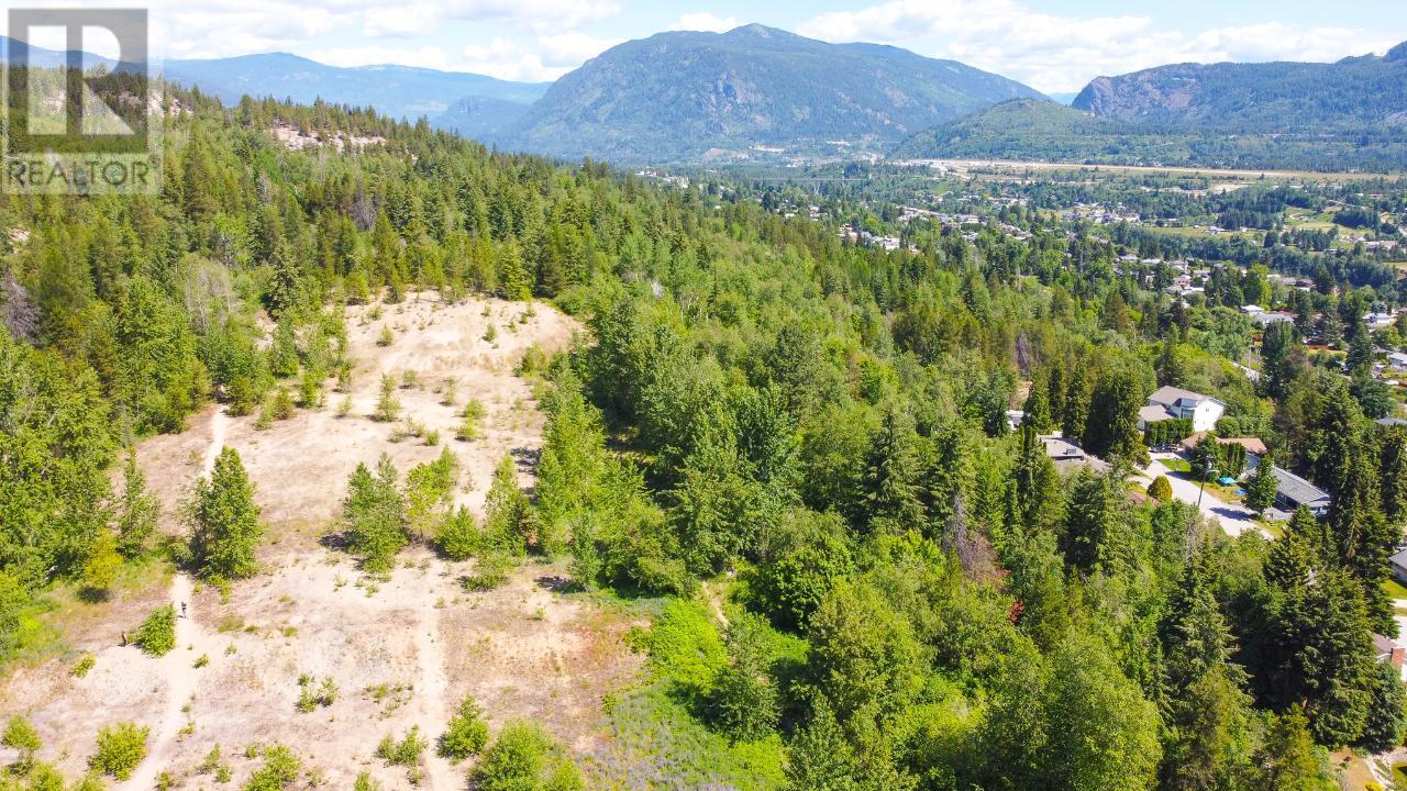 3300 10th Avenue, Castlegar, British Columbia  V1N 3A5 - Photo 16 - 2479162
