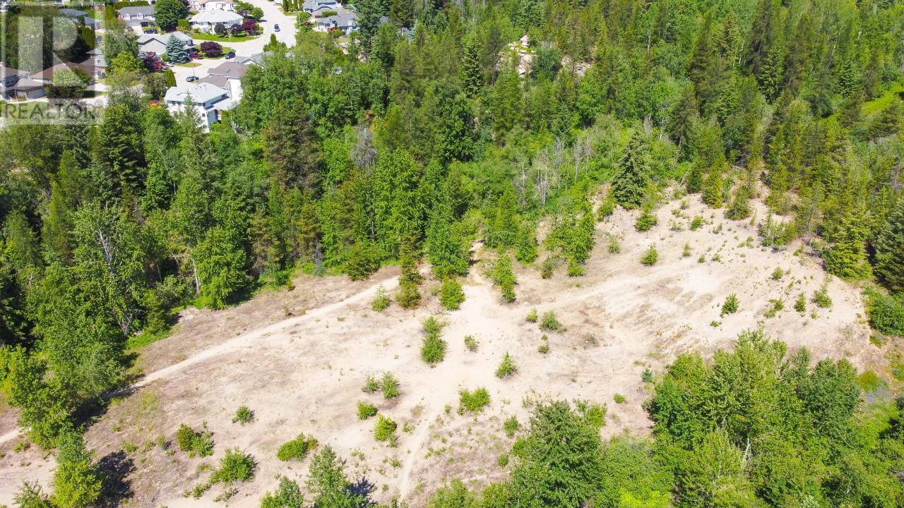 3300 10th Avenue, Castlegar, British Columbia  V1N 3A5 - Photo 21 - 2479162