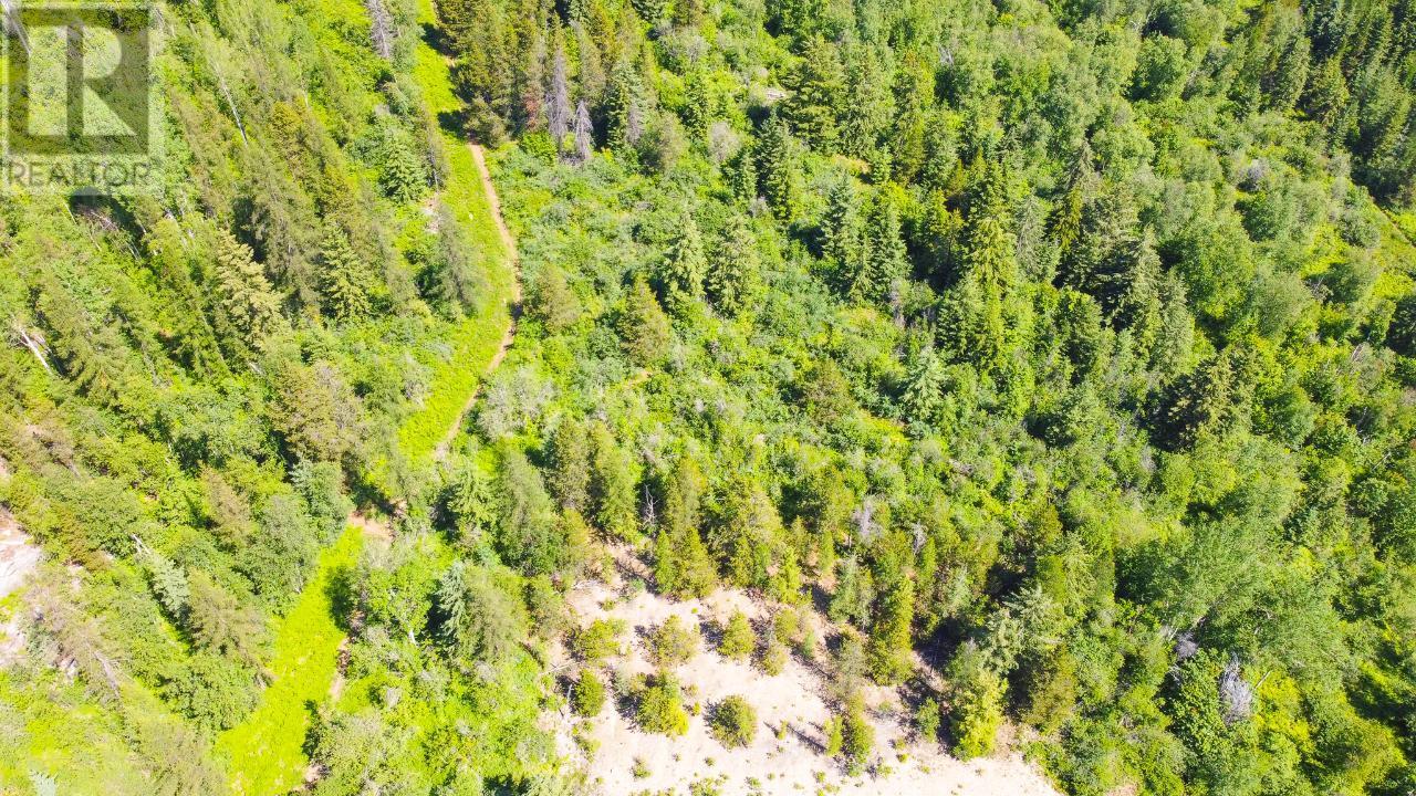 3300 10th Avenue, Castlegar, British Columbia  V1N 3A5 - Photo 11 - 2479162