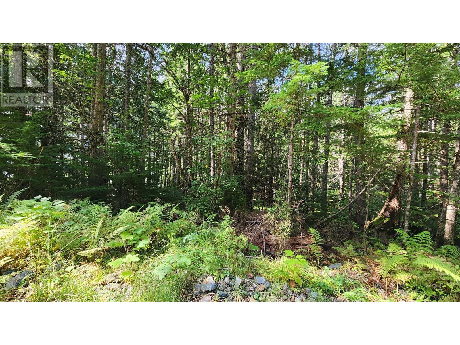 Lot B 23 Highway, Nakusp, British Columbia  V0G 1R1 - Photo 8 - 2479163