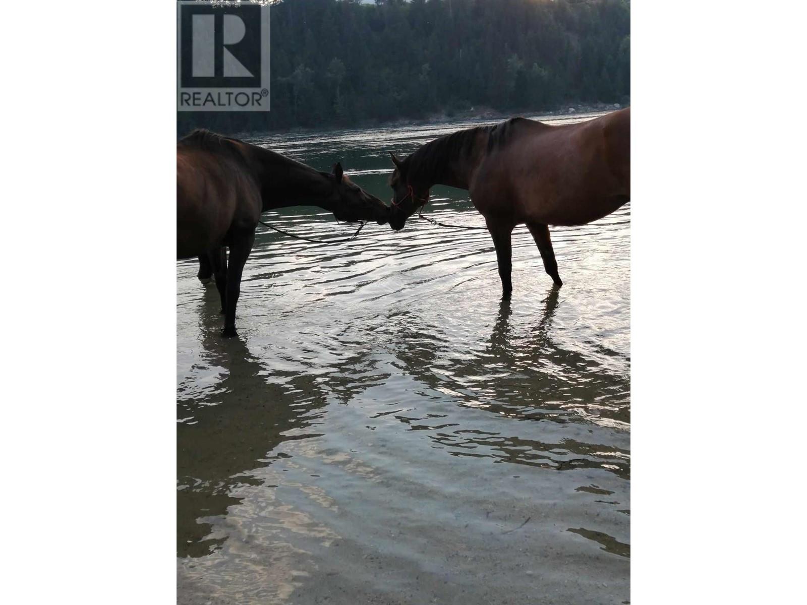 Lot A Bridgeview Road, Ootischenia, British Columbia V1N 4K8 - Photo 13 - 2479184