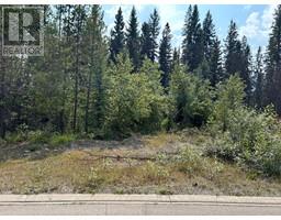 23 DOUGLAS Crescent, elkford, British Columbia