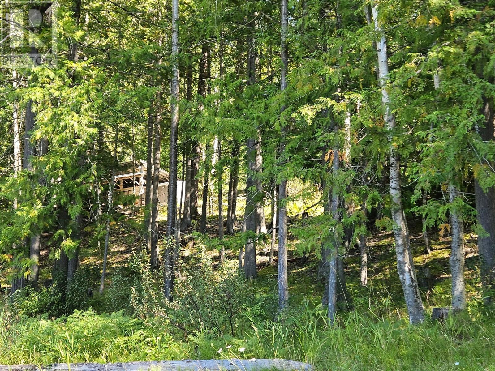 5851 6 Highway, Burton, British Columbia V0G 1E0 - Photo 27 - 2479382