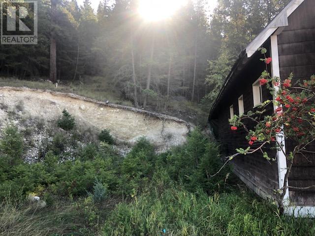 4954 Madsen Road, Radium Hot Springs, British Columbia  V0A 1M0 - Photo 8 - 2479433