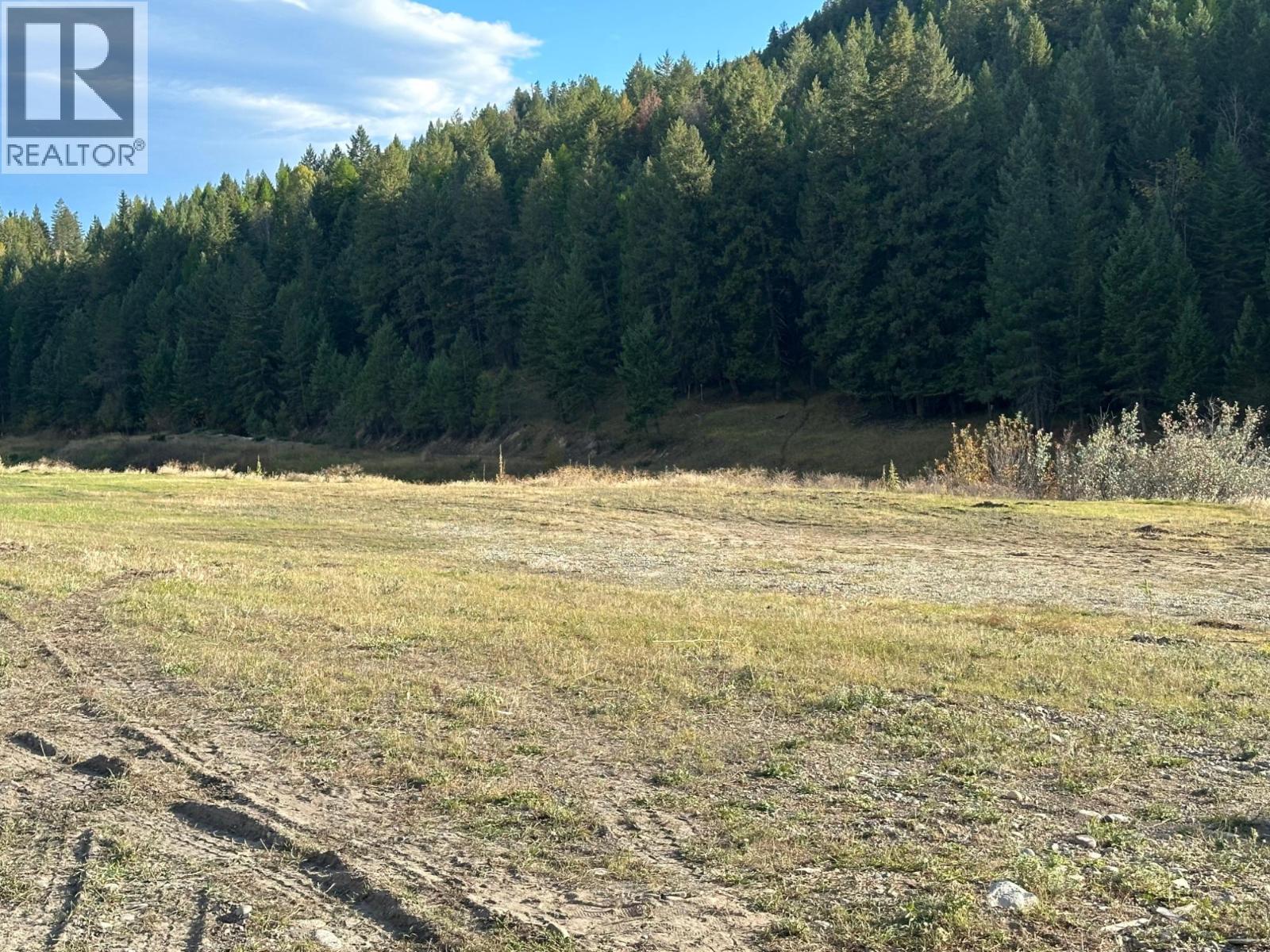 Lot 38 Laurier Avenue, Wardner, British Columbia  V0B 2J0 - Photo 4 - 2479831