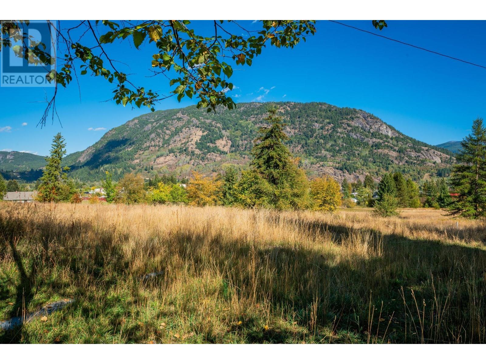 738 MEADOWLARK  Lane Castlegar