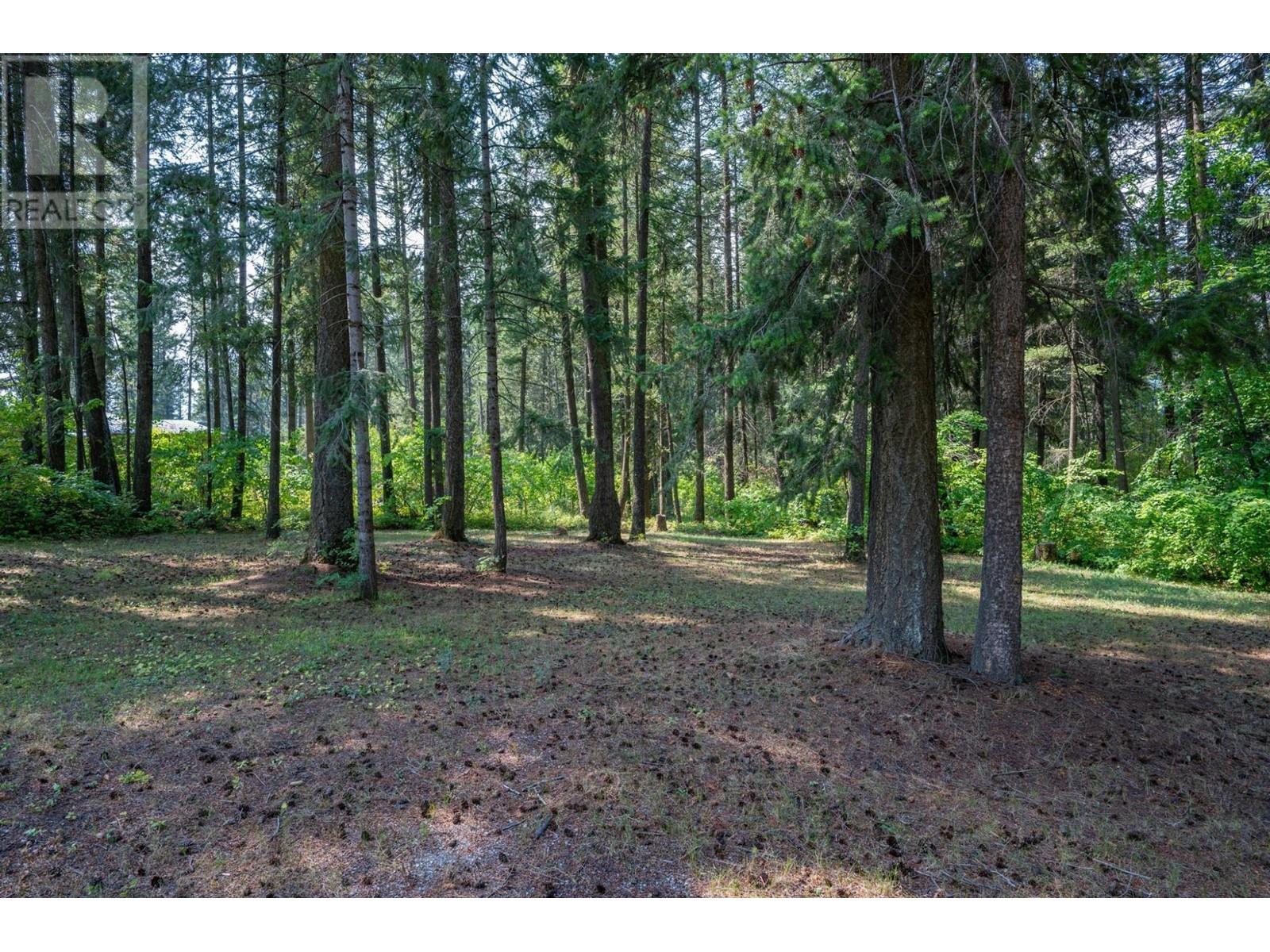 576c Habart Road, Golden, British Columbia V0A 1H2 - Photo 7 - 2480067