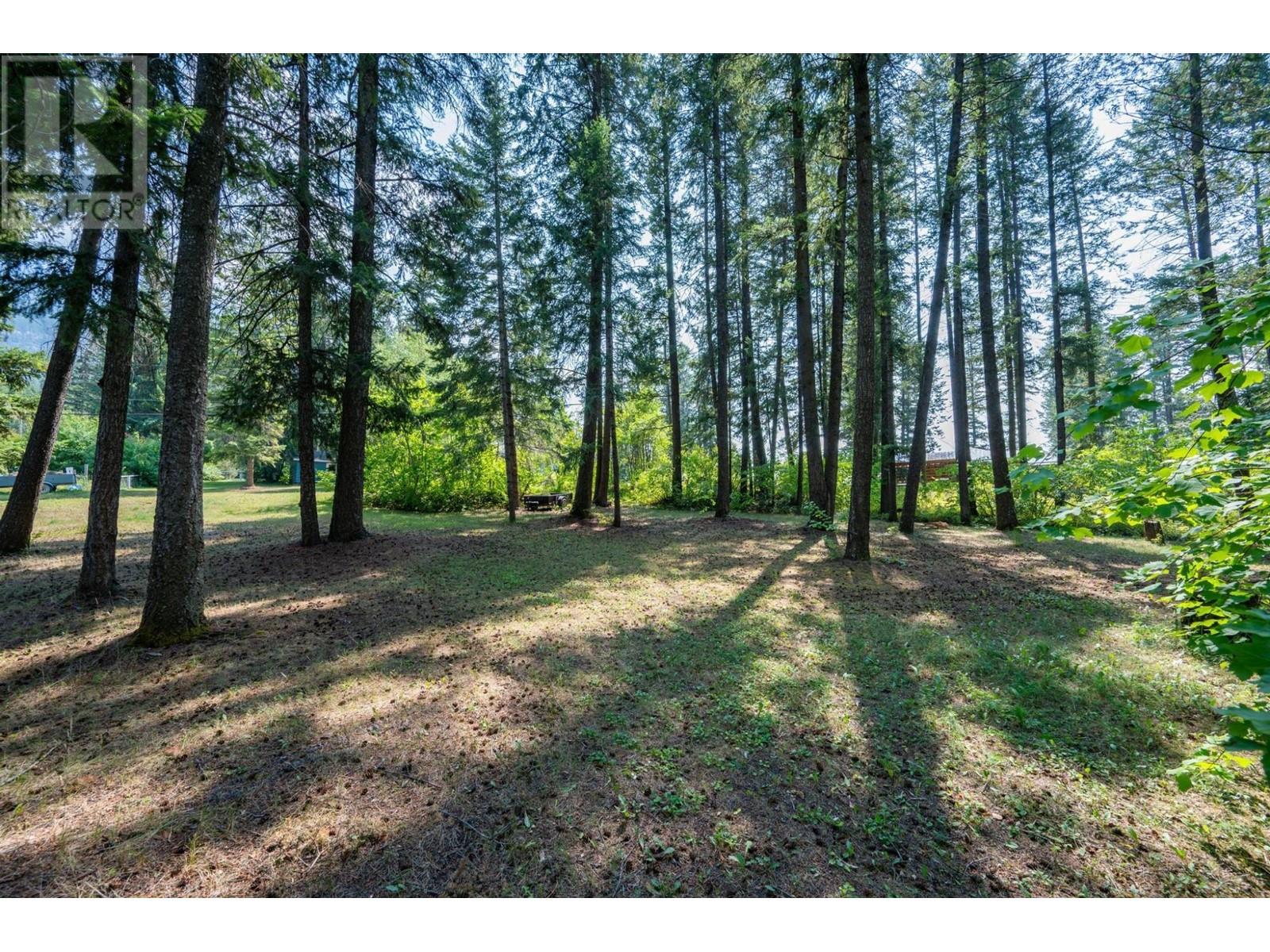 576c Habart Road, Golden, British Columbia V0A 1H2 - Photo 4 - 2480067