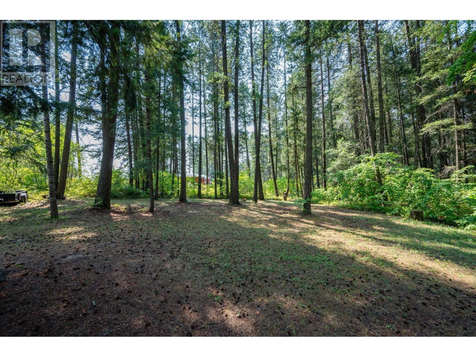 576c Habart Road, Golden, British Columbia V0A 1H2 - Photo 5 - 2480067