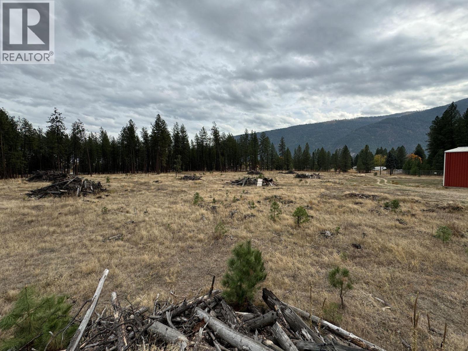 105 60th Avenue, Grand Forks, British Columbia V0H 1H4 - Photo 11 - 2480114