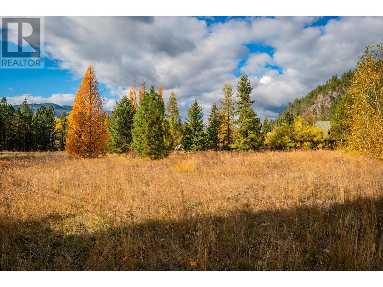 Lot 4 Sandner Frontage  Road, Christina Lake, British Columbia  V0N 1E0 - Photo 22 - 2480123