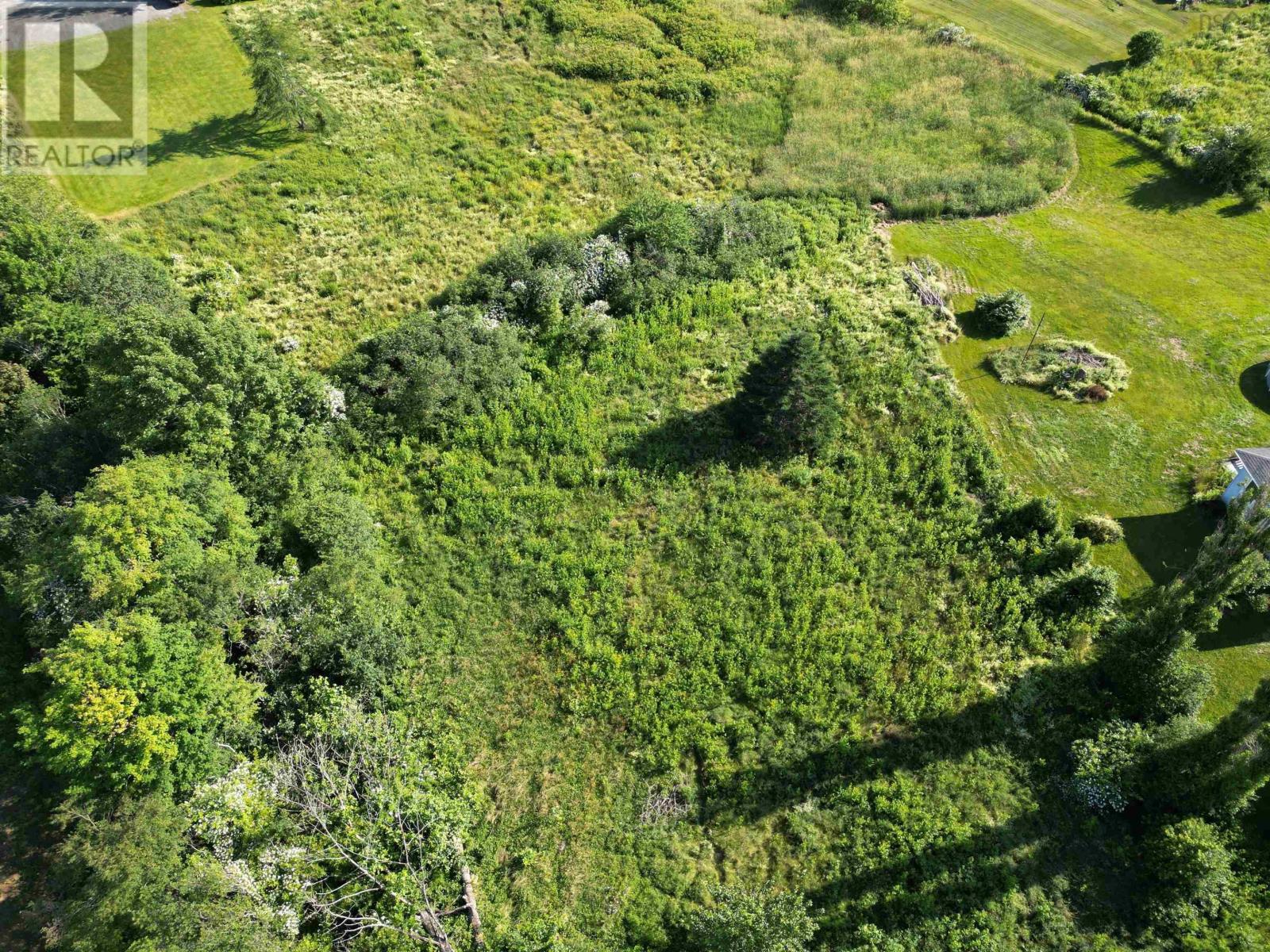 Lorem Ipsum Dol, Lyons Brook, Nova Scotia  B0K  - Photo 3 - DEMO26339252