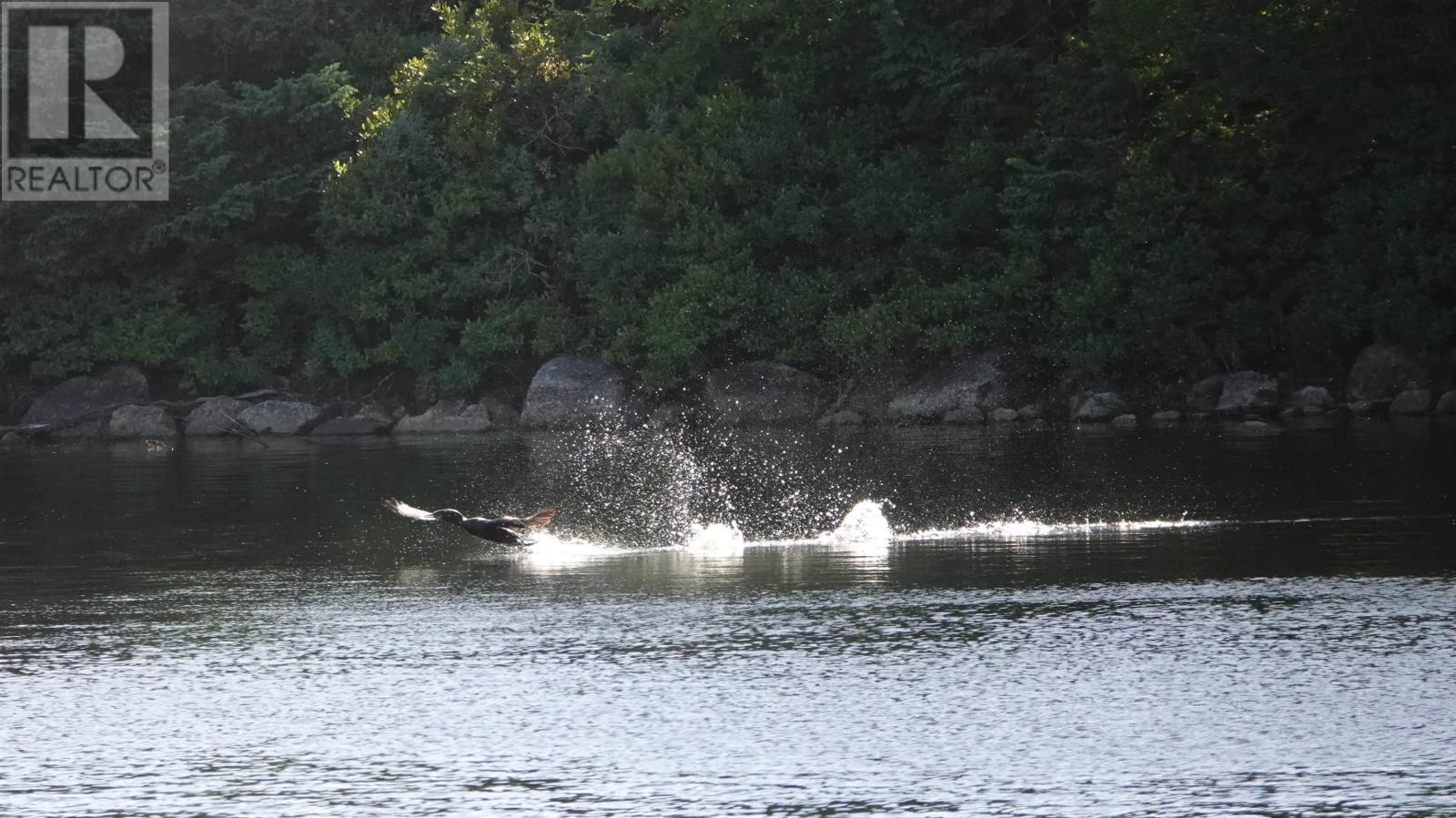 287 Long Lake Road, Glen Haven, Nova Scotia  B3Z 0P9 - Photo 18 - 202425636