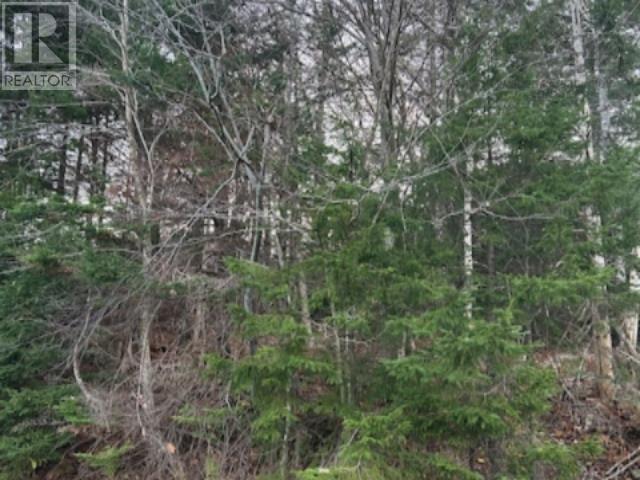 Property at Lot 32 Lakeview Avenue image 2