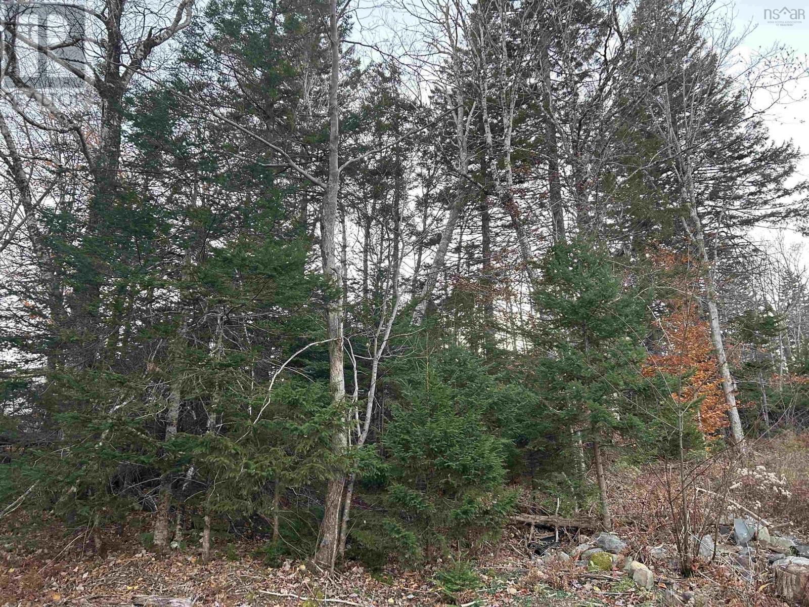 Property at Lot 32 Lakeview Avenue image 5